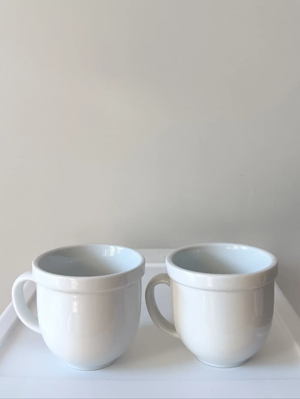 Pottery Barn Ceramic Classic Coffee Mugs White Set of 2 Handled Thick Rim Bistro